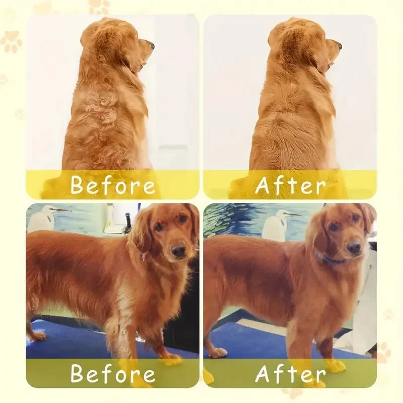 Cepillo Eléctrico 3 en 1 para Mascotas – Vapor, Masaje y Desenredo