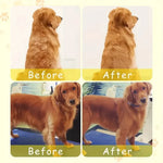 Cepillo Eléctrico 3 en 1 para Mascotas – Vapor, Masaje y Desenredo